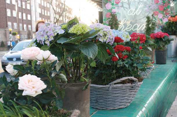 ロンドンの素敵な花屋