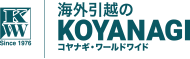 Koyanagi Worldwide Ltd.