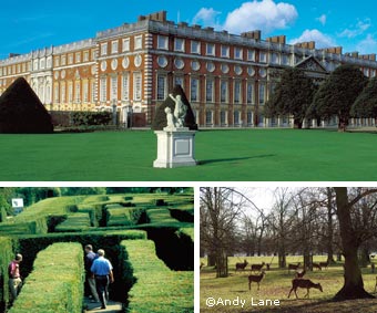 Bushy Park (Hampton Court Palace)