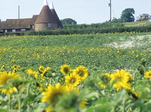 Oast House