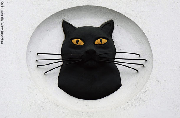 建物の上部に並ぶ黒猫の顔