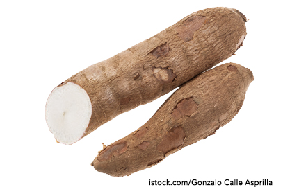 Cassava (Yuca)
