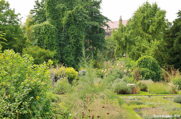 Chelsea Physic Garden